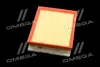 ФІЛЬТР ПОВІТРЯНИЙ ExtraClean RENAULT RIDER REC200383 (фото 2)