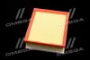 ФІЛЬТР ПОВІТРЯНИЙ ExtraClean RENAULT RIDER REC200383 (фото 4)