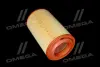 ФИЛЬТР ВОЗДУШНЫЙ ExtraClean PSA RIDER REC200435 (фото 1)