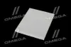 Фільтр салону ExtraClean OPEL RIDER REC610145 (фото 2)