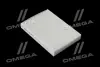 Фильтр салона ExtraClean DACIA RIDER REC610273 (фото 1)