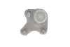 Опора кульова (передня/знизу/L) Audi A3/Skoda Octavia III/VW Caddy IV/Golf VII 12- (всередині OE VAG) ROTWEISS 5Q0407365A (фото 2)