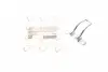 Петля замка дверей Fiat Ducato/Peugeot Boxer 06- (1362281080) ROTWEISS RWS1240 (фото 1)