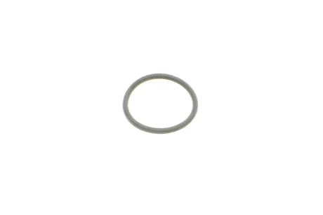 Уплотняющая прокладка системы охлаждения MB (39.3mm) ROTWEISS RWS2550