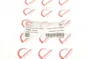 Патрубок системи охолодження VW T5 1.9TDI 03-09 ROTWEISS RWS2684 (фото 6)