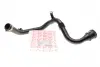 Патрубок інтеркулера Renault Fluence/ Scenic III/Megane III 1.5dCi 09- ROTWEISS RWS2694 (фото 1)
