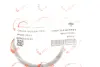 Прокладка колектора впускного Renault Kangoo/Laguna II/Trafic 1.4-2.0 01- ROTWEISS RWS2845 (фото 2)