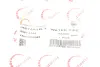 Патрубок системи охолодження Renault Clio 1.4 98-05 ROTWEISS RWS3344 (фото 2)