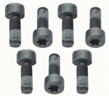 Болт з шестигранною голівкою SACHS 1874 000 040 (фото 1)