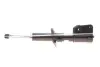Амортизатор NISSAN/OPEL/RENAULT Primastar/Vivaro/Trafic &quot;F &quot;06&gt;&gt; &quot;(Gas) =&quot;&quot; SACHS 316591 (фото 1)