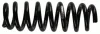 Пружина підвіски задн лів/прав BMW 1 (F20), 1 (F21), 3 (E91), 3 (E93) 1.5-3.0D 12.04-06.19 994 484 SACHS 994484 (фото 1)