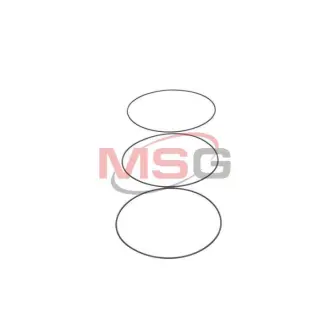 Уплотнение компрессора Santech M20-1058