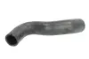 Шланг резиновый системы охлаждения Верх OPEL ASTRA G, ASTRA G/KOMBI 1.6/1.6LPG 02.98-04.05 SAS3406371 SASIC 3406371 (фото 1)