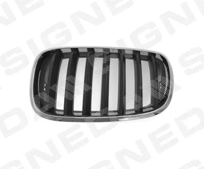 Решітка радіатора на BMW X5 (E70), 10.06 - 04.10 Signeda BM07053GAL