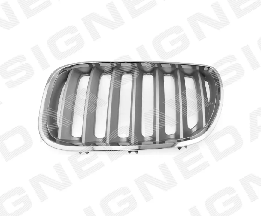 Решітка радіатора BMW X5 (E53), 04 - 06 SIGNEDA Signeda PBM07031GBL (фото 1)