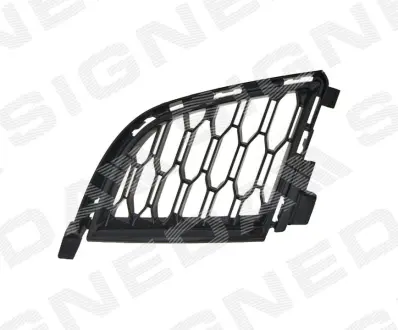 Решітка в бампер BMW 3 (G20/G21) SIGNEDA Signeda PBM99288AR