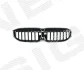 Решітка радіатору BMW 3 (G20/G21) SIGNEDA Signeda PBM99373A (фото 1)