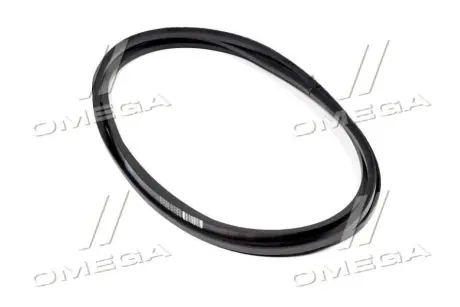 Ремень (СВ-5000) (PHG C195) SKF C 5000