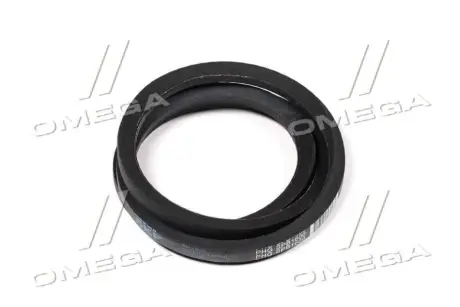 Ремень SPВ 1600 (УБ-1600) (PHG SPB1600XP) (посыл).) SKF SPB 1600