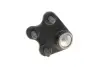 Опора кульова (передня/знизу/R) Audi A1 10-/Seat Ibiza 02-15/Skoda Fabia 99-14/Rapid 12-/VW Polo 01 SKF VKDS 311004 (фото 2)