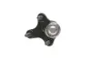 Кульова опора AUDI/SEAT/SKODA/VW A3/Leon/Octavia/Caddy/Golf/Touran "FR "04>> ="" SKF VKDS311009 (фото 2)