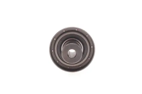 Ролик ГРМ Nissan Sunny 1.7/2.0 D 86-00 (паразитный) (60x29) SKF VKM 82302