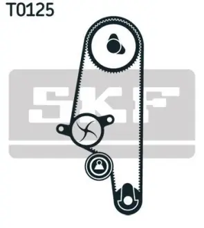Ремкомплект ГРМ SEAT/SKODA/VW Cordoba/Ibiza/Inca/Felicia/Octavia/Caddy/Golf/Polo/Vento "1,6 "92-04 ="" SKF VKMA01110