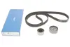 Комплект ГРМ Audi 80/100/A6 2.6/2.8 90-00 (25.4x239) SKF VKMA 01200 (фото 1)