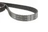 Комплект ГРМ Audi 80/100/A6 2.6/2.8 90-00 (25.4x239) SKF VKMA 01200 (фото 9)