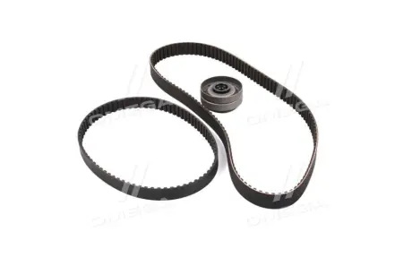 Роликовий модуль натягувача ременя (ролик, ремінь) SKF VKMA01266