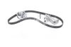 Ремкомплект ГРМ AUDI/SEAT/SKODA/VW A4/A6/Exeo/Superb/Passat "1,8-2,0 "95-10 ="VKMA01918" SKF