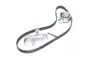 Ремкомплект ГРМ AUDI/SEAT/SKODA/VW A4/A6/Exeo/Superb/Passat &quot;1,8-2,0 &quot;95-10 =&quot;&quot; SKF VKMA01918 (фото 4)