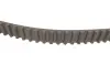 Комплект ГРМ Ford Mondeo/Focus 1.4/1.6i 03-/Volvo C30/S40/V50 1.6 05-12 (22x117z) SKF VKMA 04226 (фото 3)