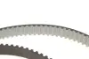 Ремкомплект ГРМ CADILLAC/CHEVROLET/OPEL/SAAB/SUZUKI BLS/AstraHJ/InsigniaA/VectraC &quot;1,9-2,0D &quot;04&gt;&gt; =&quot;&quot; SKF VKMA05193 (фото 8)
