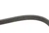 Ремкомплект ГРМ AUDI/SEAT/SKODA/VW A1/A3/Q3/TT/Fabia/Octavia/Caddy/Golf/Jetta/Passat &quot;1,2-2,0TDI &quot;12 =&quot;&quot; SKF VKMA31098 (фото 3)