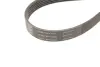 Ремкомплект ГРМ AUDI/SEAT/SKODA/VW A1/A3/Q3/TT/Fabia/Octavia/Caddy/Golf/Jetta/Passat &quot;1,2-2,0TDI &quot;12 =&quot;&quot; SKF VKMA31098 (фото 4)