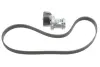 Ремкомплект ГРМ AUDI/SEAT/VW A2/Ibiza/Bora &quot;1,4-1,6 &quot;96-15 =&quot;&quot; SKF VKMA31216 (фото 1)