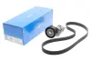 Ремкомплект ГРМ AUDI/SEAT/VW A2/Ibiza/Bora &quot;1,4-1,6 &quot;96-15 =&quot;&quot; SKF VKMA31216 (фото 7)