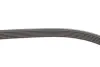Ремкомплект ГРМ CITROEN/PEUGEOT C2/C3/C4/1007/207/307 &quot;1,1-1,6 &quot;00&gt;&gt; =&quot;&quot; SKF VKMA33074 (фото 3)