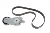 Ремкомплект ГРМ CITROEN/FORD/PEUGEOT/VOLVO Berlingo/C2-5/Fiesta/206+/3008/C30/V70 &quot;1,4-1,6D &quot;02&gt;&gt; =&quot;&quot; SKF VKMA33165 (фото 1)