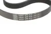 Ремкомплект ГРМ CITROEN/FORD/PEUGEOT/VOLVO Berlingo/C2-5/Fiesta/206+/3008/C30/V70 &quot;1,4-1,6D &quot;02&gt;&gt; =&quot;&quot; SKF VKMA33165 (фото 2)