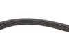 Комплект ременя генератора Renault Kangoo 1.5dCi 08- (6PK1199) SKF VKMA 36055 (фото 4)