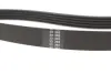 Ремкомплект ГРМ NISSAN/RENAULT Almera/Megane &quot;1,4-1,6 &quot;98&gt;&gt; =&quot;&quot; SKF VKMA36058 (фото 3)