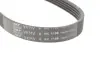 Ремкомплект ГРМ NISSAN/RENAULT Almera/Megane &quot;1,4-1,6 &quot;98&gt;&gt; =&quot;&quot; SKF VKMA36058 (фото 5)