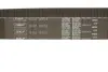 Комплект ГРМ Mitsubishi Pajero 3.0 V6 94-99 (31.8x187z) SKF VKMA 95613 (фото 3)