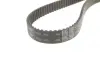 Ремкомплект ГРМ + помпа AUDI/SEAT/SKODA/VW A3/A4/A6/TT/Octavia/Golf/Jetta/Passat &quot;2,0 &quot;04-15 =&quot;&quot; SKF VKMC01222 (фото 16)