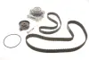 Комплект ГРМ + помпа VW T4 2.4D 90-03, 55/57kw, AJA/AAB SKF VKMC 01271 (фото 1)