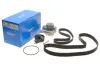 Комплект ГРМ + помпа VW T4 2.4D 90-03, 55/57kw, AJA/AAB SKF VKMC 01271 (фото 2)