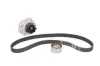 Комплект (ремінь+ролик+помпа) SKF VKMC022062 (фото 2)