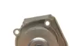 Водяний насос + комплект зубчатого ременя SKF VKMC 02206 (фото 9)
